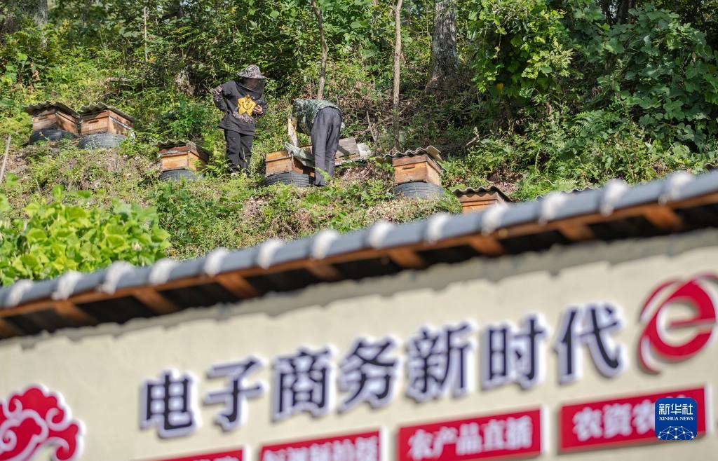 博狗在线平台